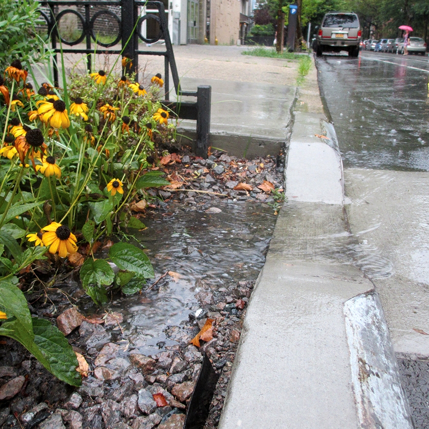 Stormwater management bioswale