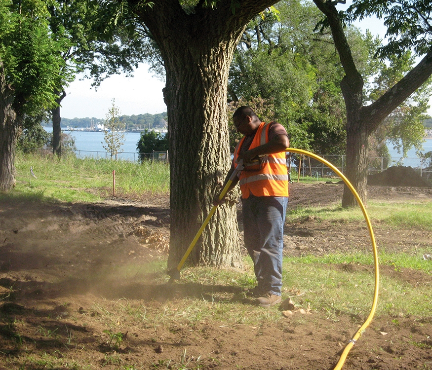 Removing soil around a tree bed