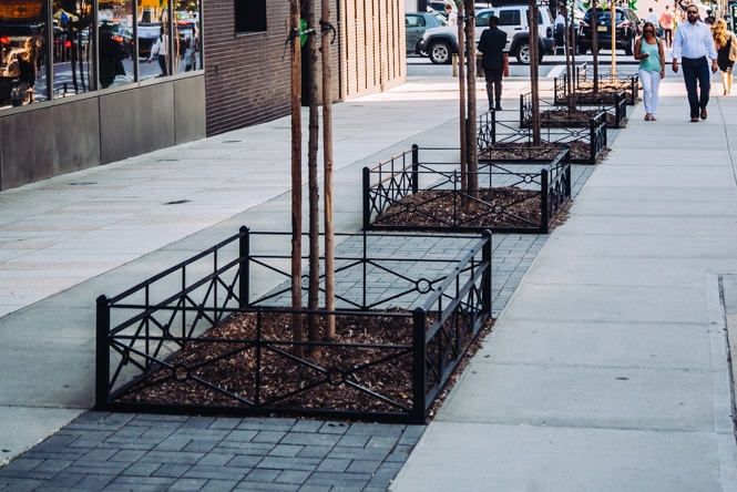 PICPs above a connected tree bed in Hudson Square, Manhattan (Credit: Hudson Square Business Improvement District)