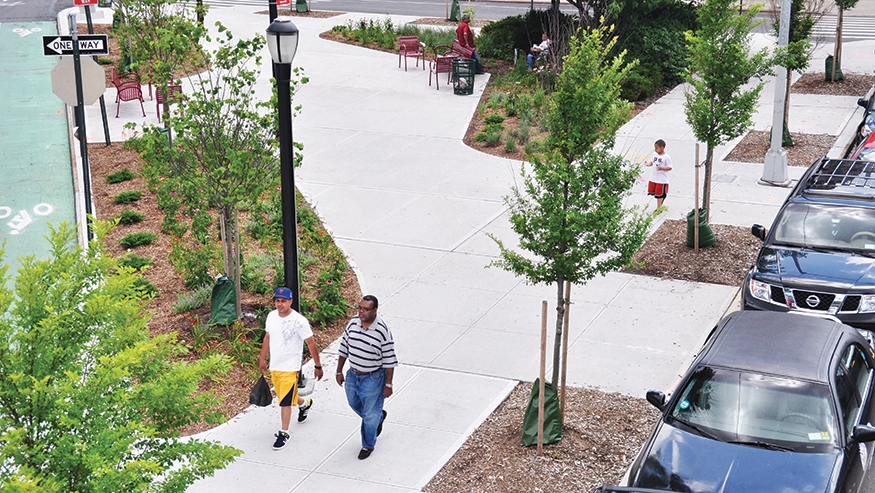 Planted median and trees along street
