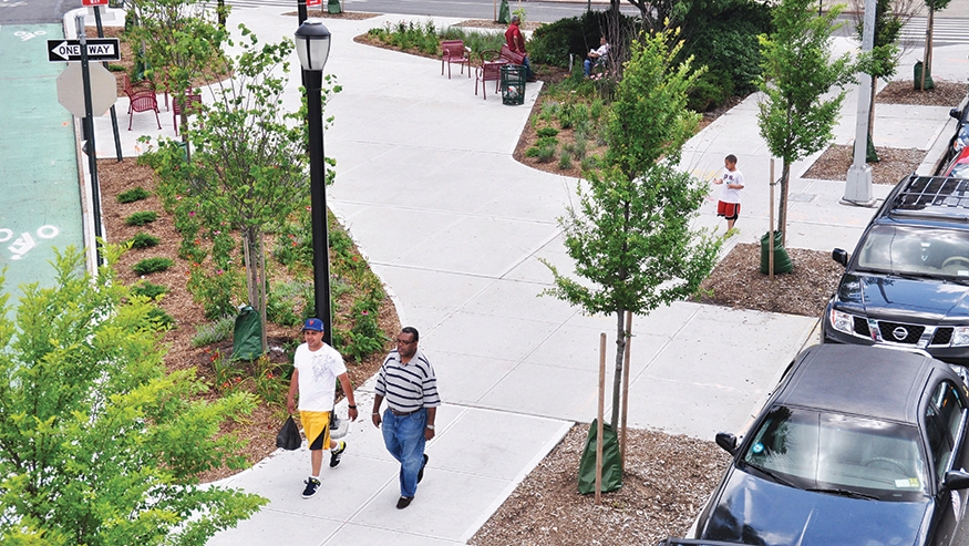 Richly planted area adjacent to sidewalk