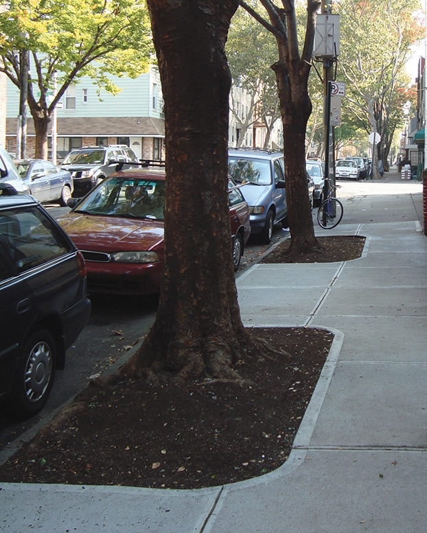 Expanded tree bed