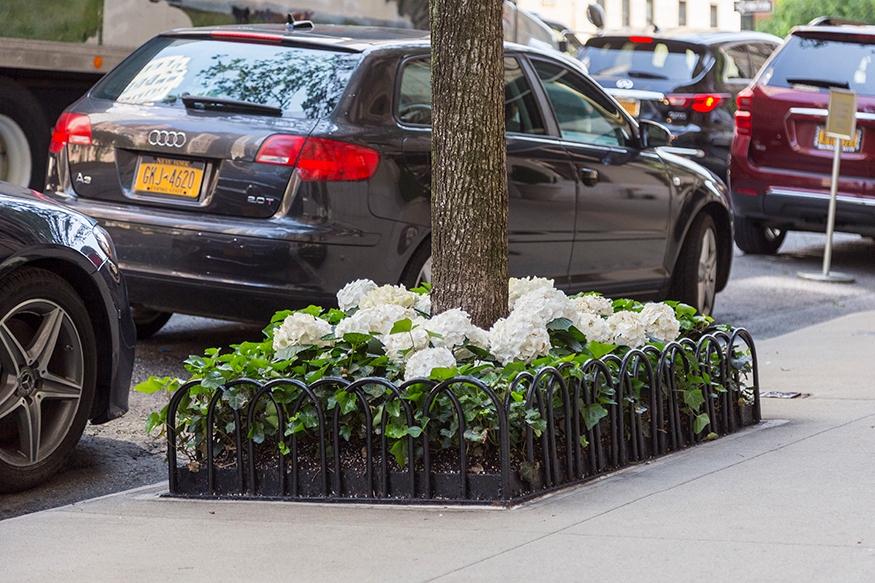  tree bed