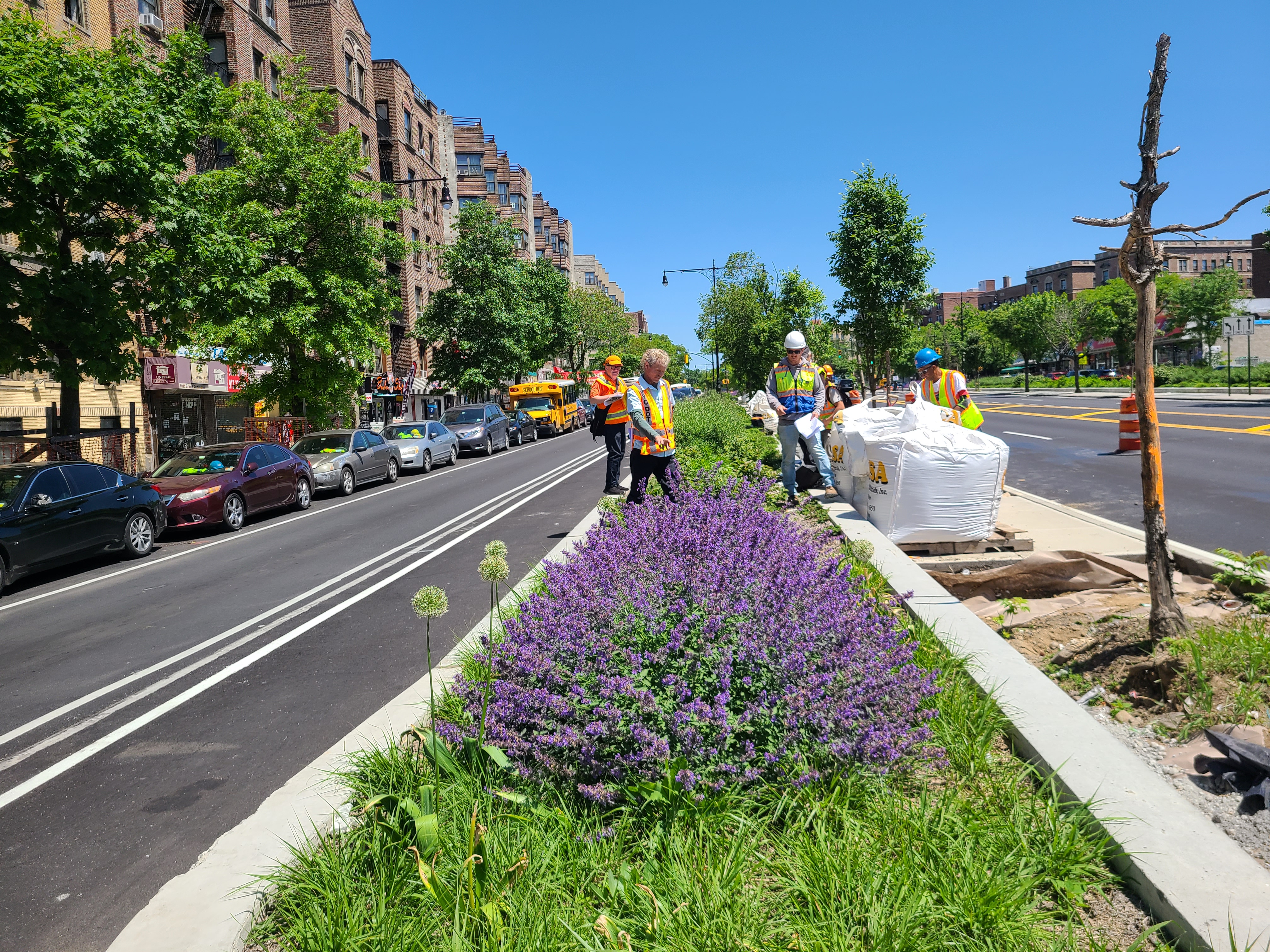 Image of a lushly planted median featuring purple flowers in the foreground and construction staging in the background